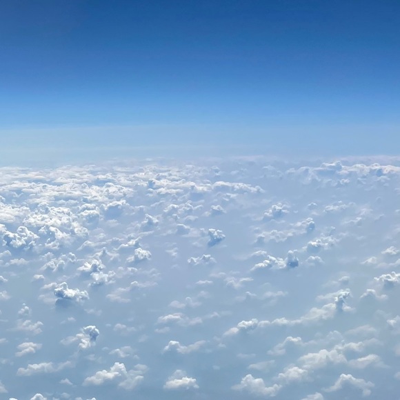 Meet your Posher, Jasmine - Picture 1 of 1